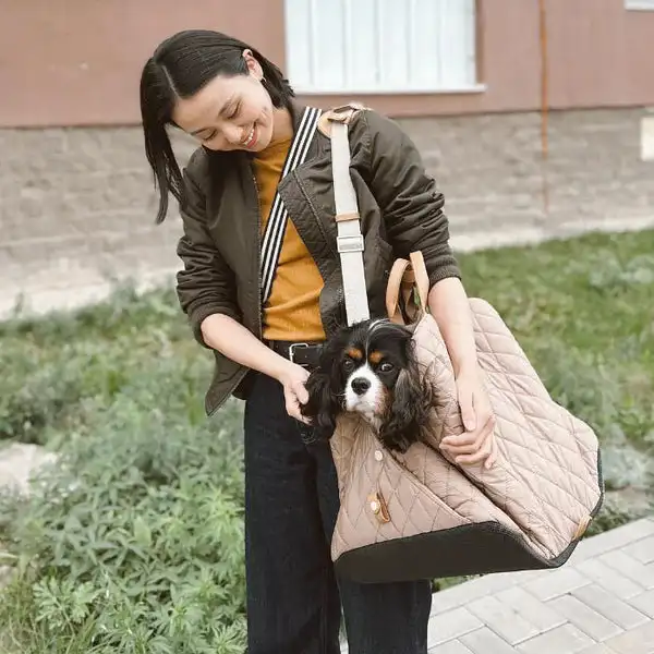 Pet carrying bag, puppy bag, cat sling, fashionable accessory/other pet backpacks （45cm*34cm*38cm）