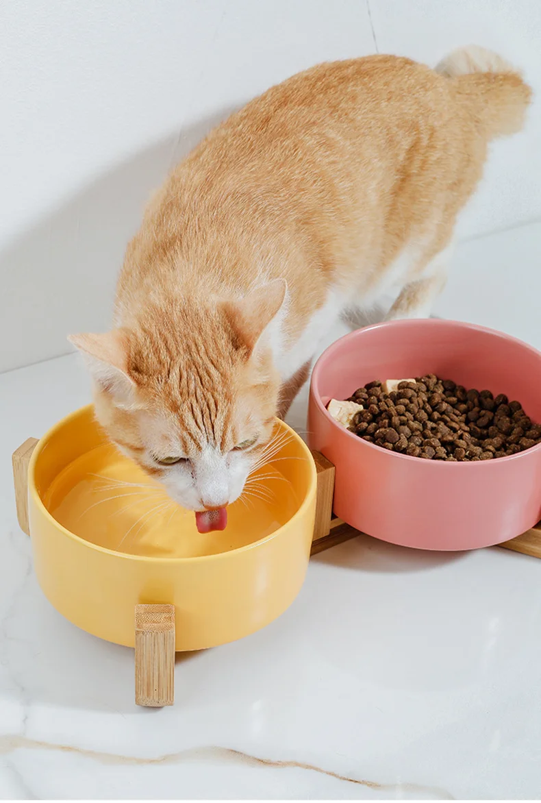 Title 16, Pet Supplies Bowl Ceramics Double Food Water Bo...
