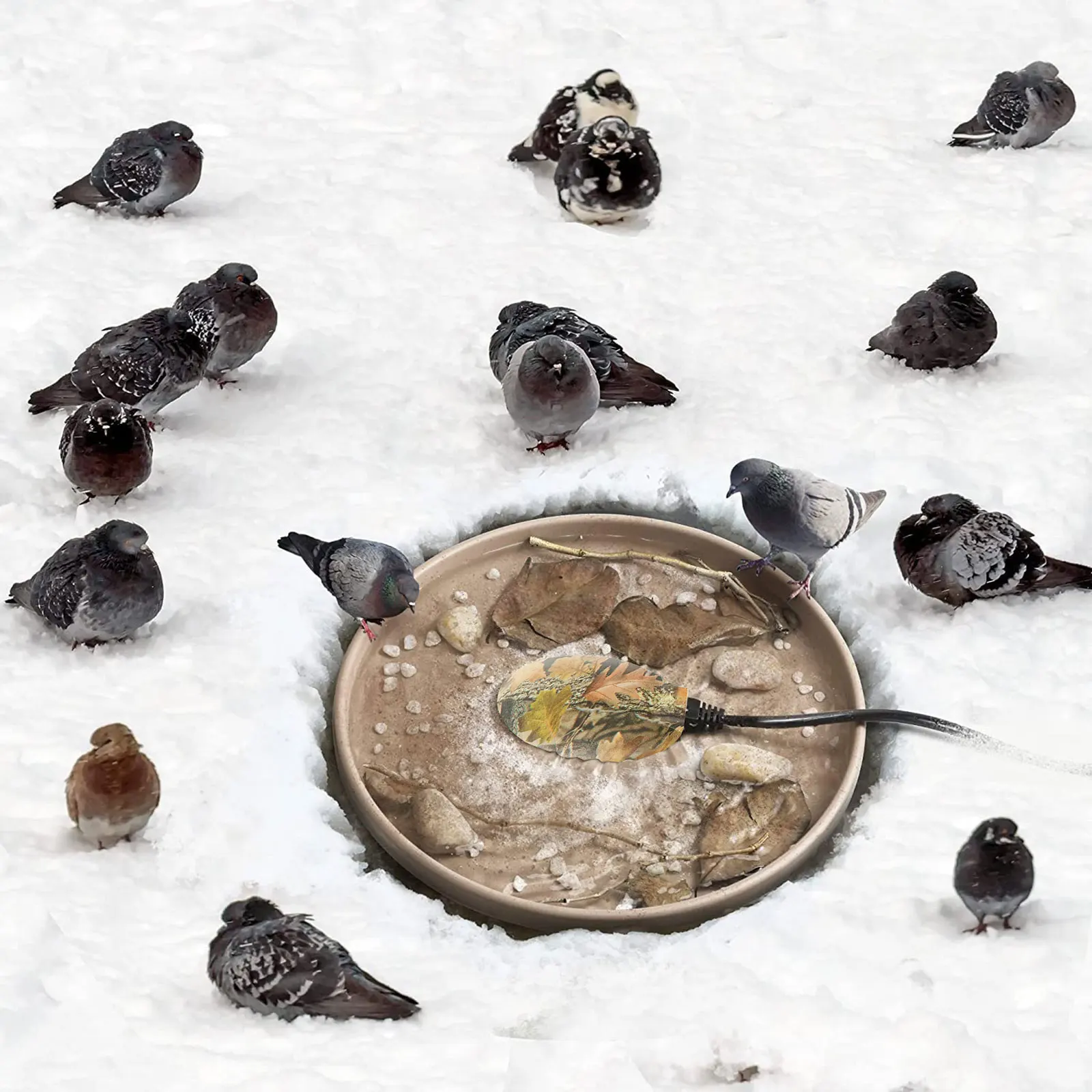 50W Thermostatic Control Energy Saving Durable Bird Bath Heater for Outdoors in Winter Plastic Metal Glass Resin Bird Bath Fountain Backyard Birding BIRD WISH Birdbath Deicer 50W Thermostatic Control Energy Saving Durable Bird Bath Heater for Outdoors in Winter Plastic Metal Glass Resin Bird Bath Fountain Backyard Birding BIRD WISH Birdbath Deicer