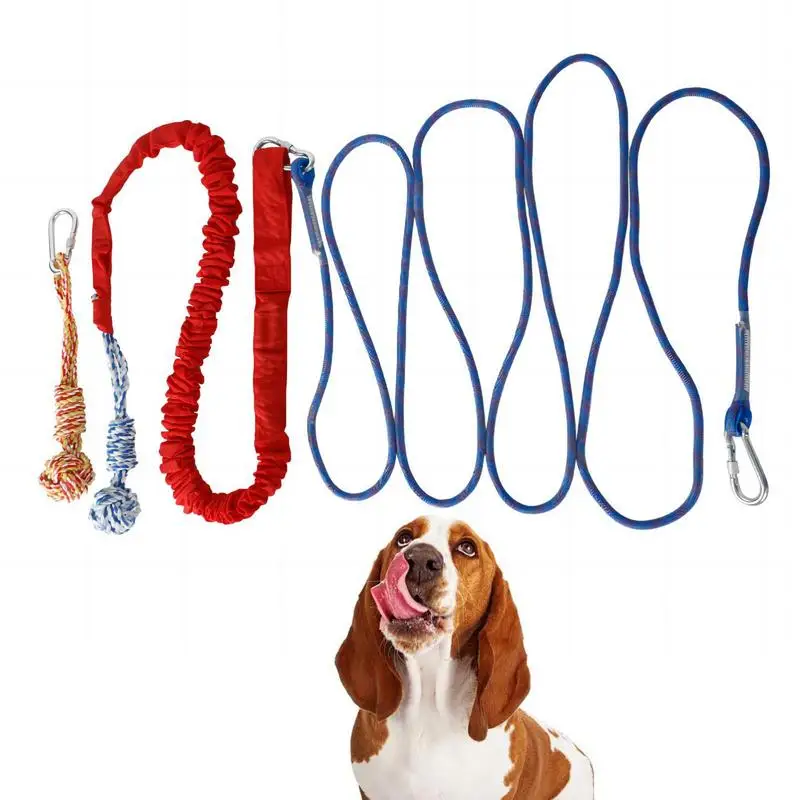 

Dog Tree Tug Toy Spring Rope Chew Toys For Dogs Bite Resistant Interactive Sturdy Spring Pole For Outdoor Camping Indoor Play