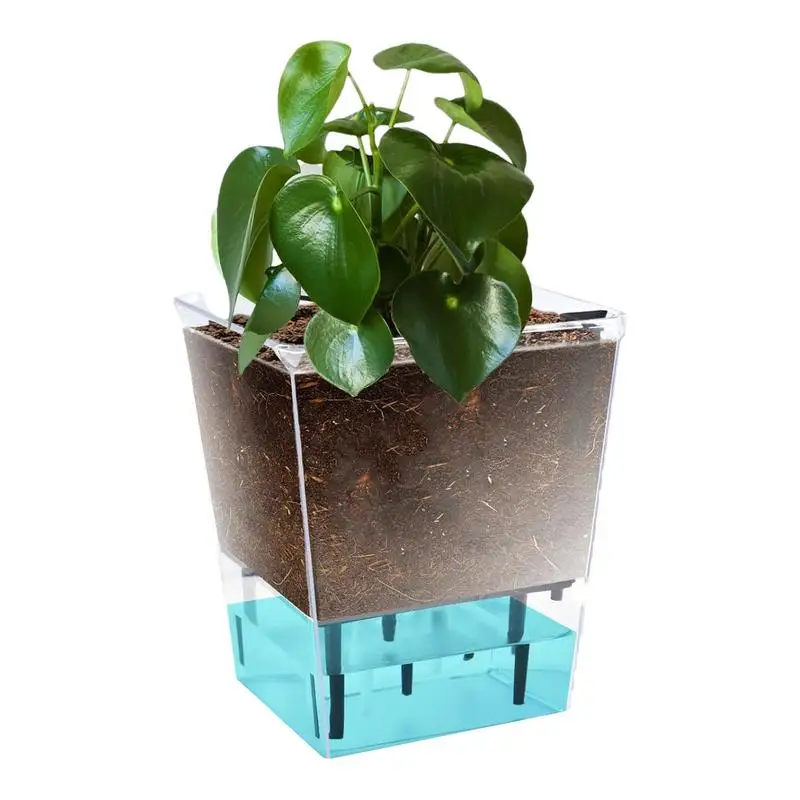 

Self Watering Pots 5.9 Inch Self Watering Planter Pot Transparent Decorative Household Vase Flower Pots With Ventilation