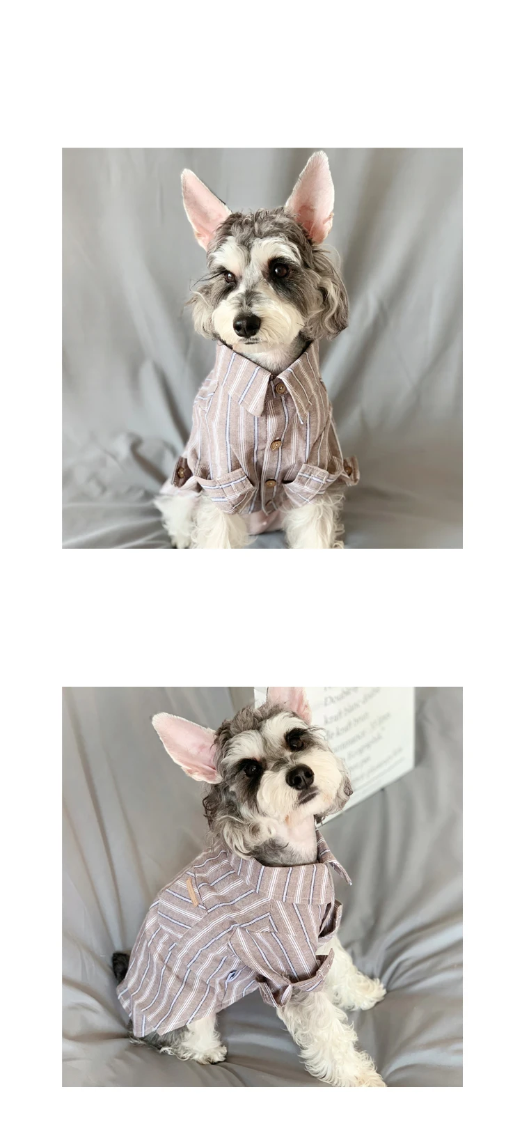 Clothes for Dogs and Cats, Teddy Schnauzer, Satsuma, Small, Medium