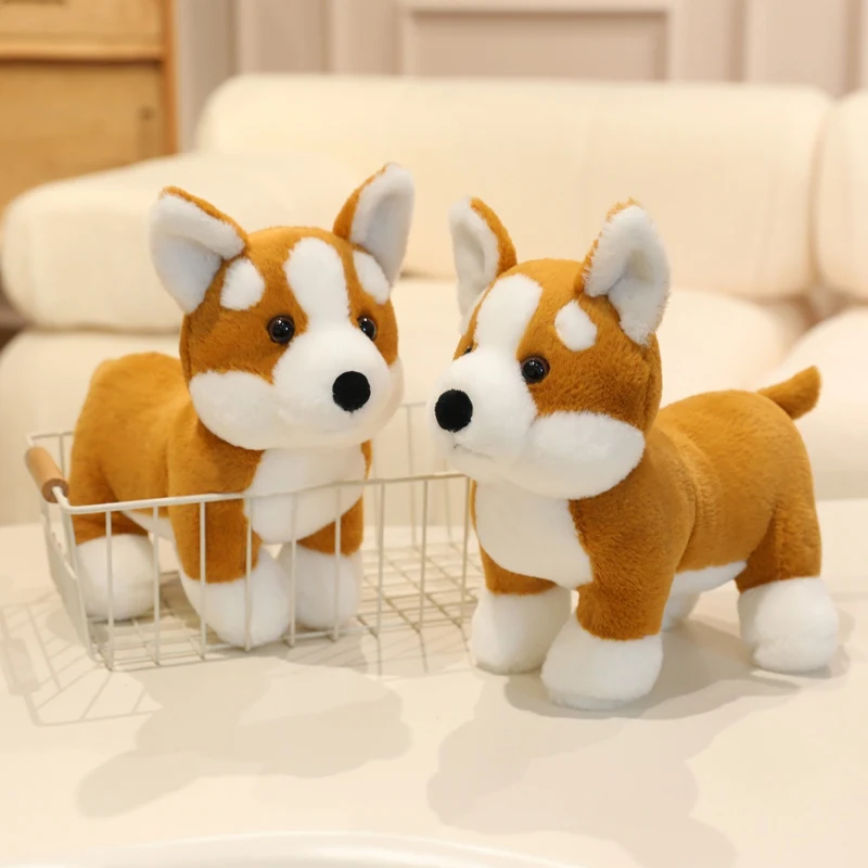 S44539816f71a4c96b2145c2feb33077eF - Corgi Gifts