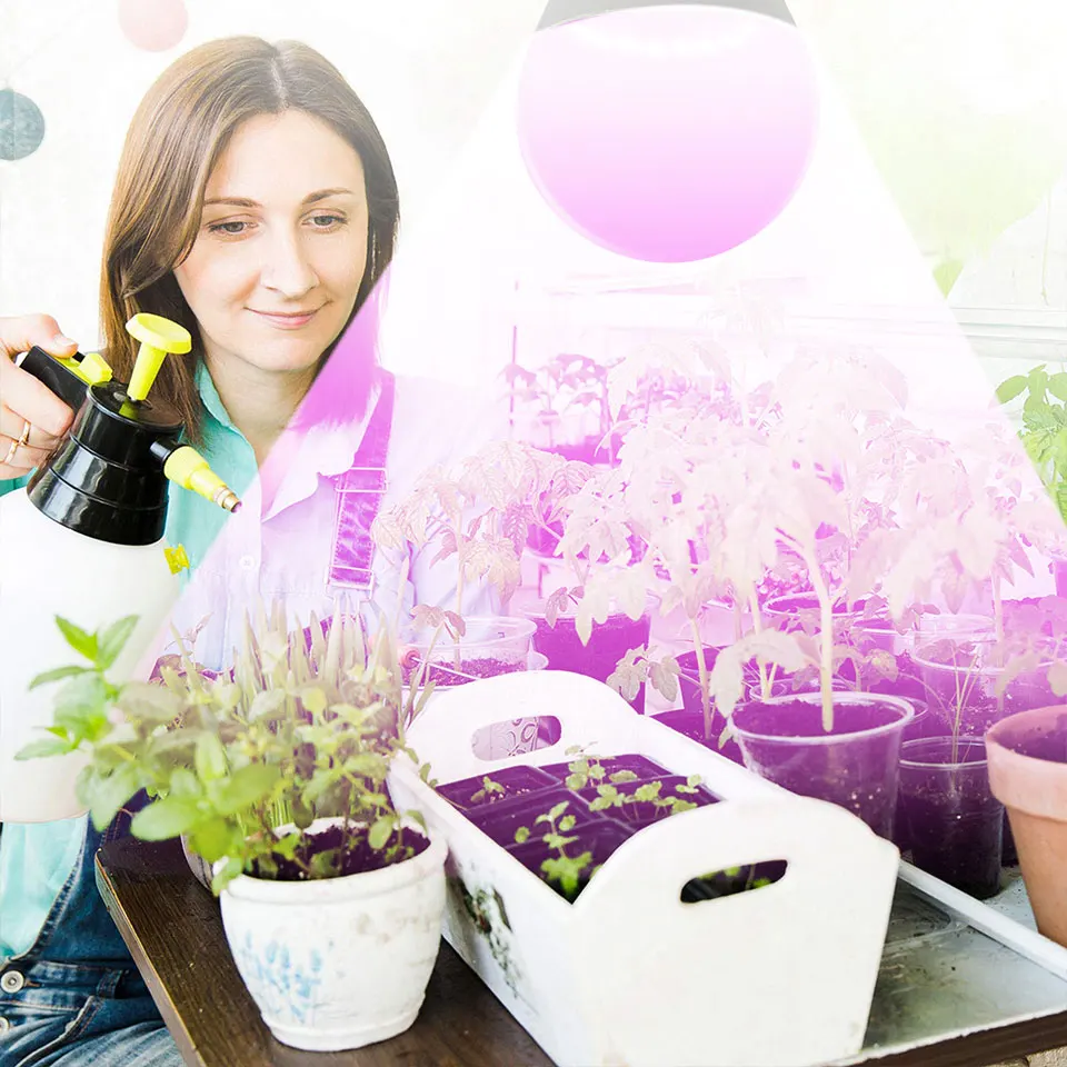 LED Grow Lamp LED Plant Light E26 E27 LED Grow Light 85-265V Full Spectrum Phyto Lamp Led Hydroponics Plant Bulb Growth Light Tent Greenhouse Vegs Cultivo Lam