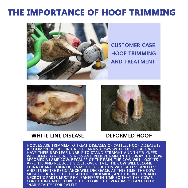 Cow Hoof Trimming Blade Alloy Hoof Trimming Scissor Disc Cow Hoof Trimming Tool Hoof Trimmer Angle Grinder Disc