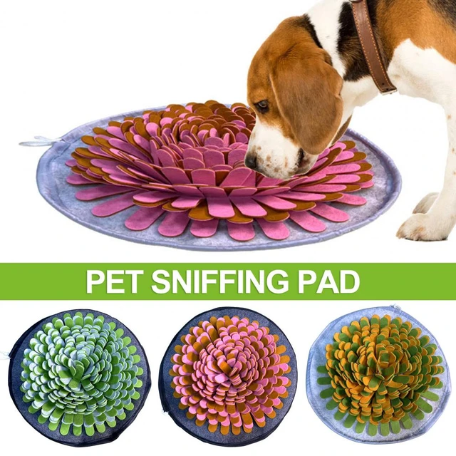 Snuffle Mat Puzzle Pad - Fish