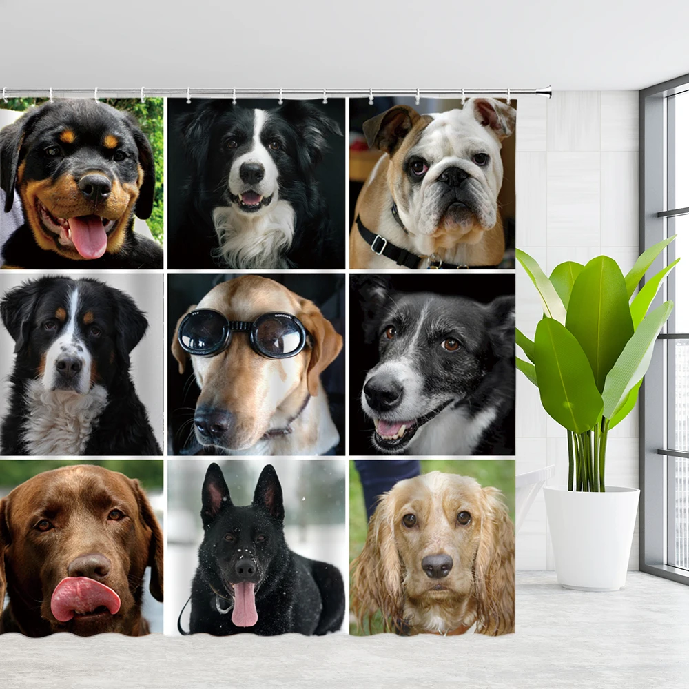 

Hilarious Pets Shower Curtain Lovely Colorful Doodle Cute Pets Dogs Bath Curtains Waterproof Fabric Bathroom with Hooks Decor