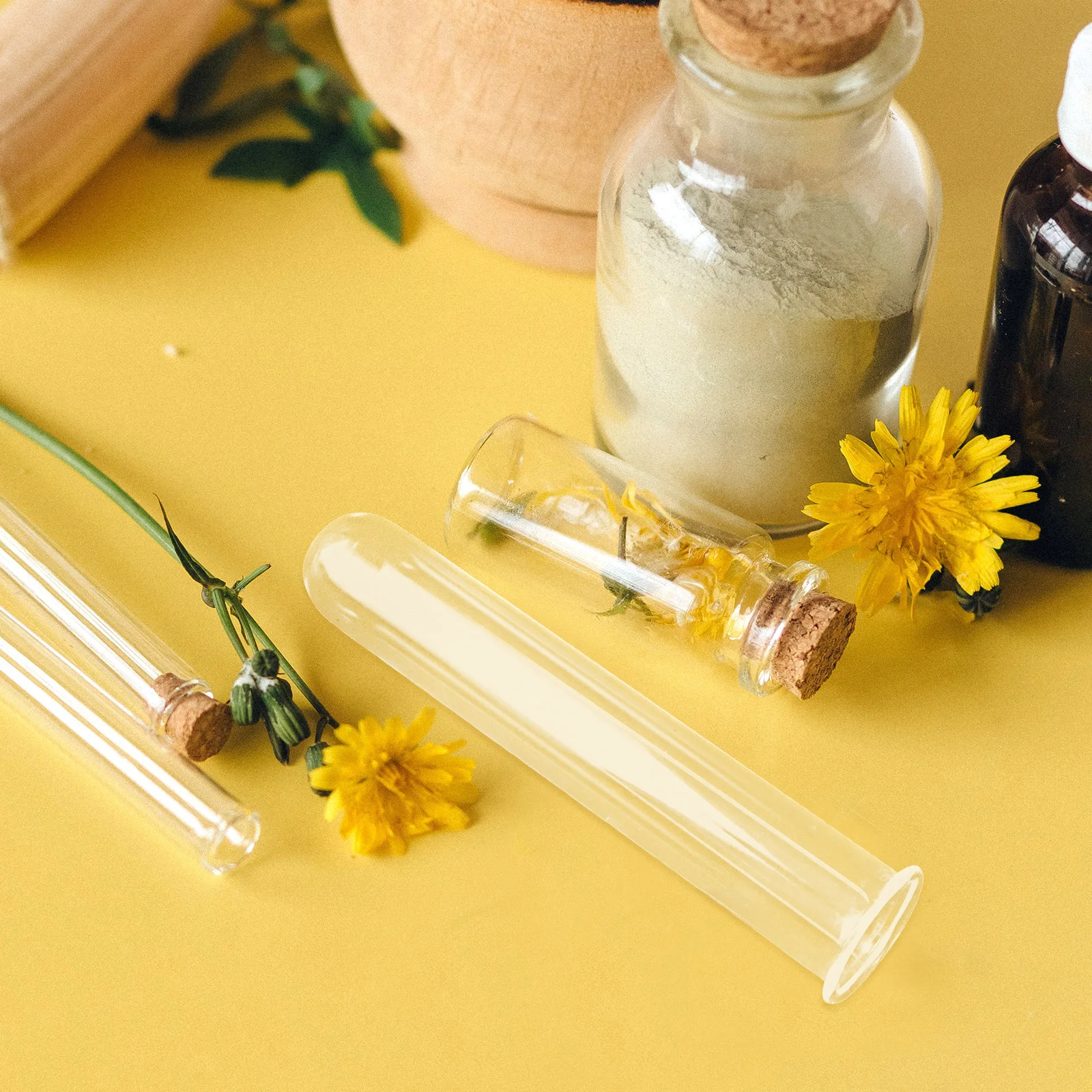 4 Pcs Hydroponic Test Tube Vase Tubes for Plants Hinged Bud Gold Wall Decor Flower Terrarium Convenient Glass Vases Flowers 6