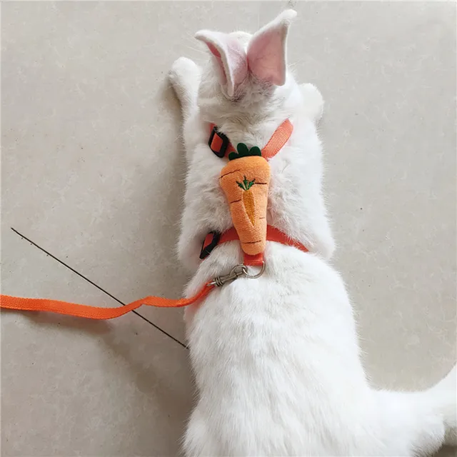 Hamster Rabbit Small Pets Chest Strap Outdoor Traction Rope Adjustable Harness Leash Vest for Rabbit Hedgehog Guinea Pig 5