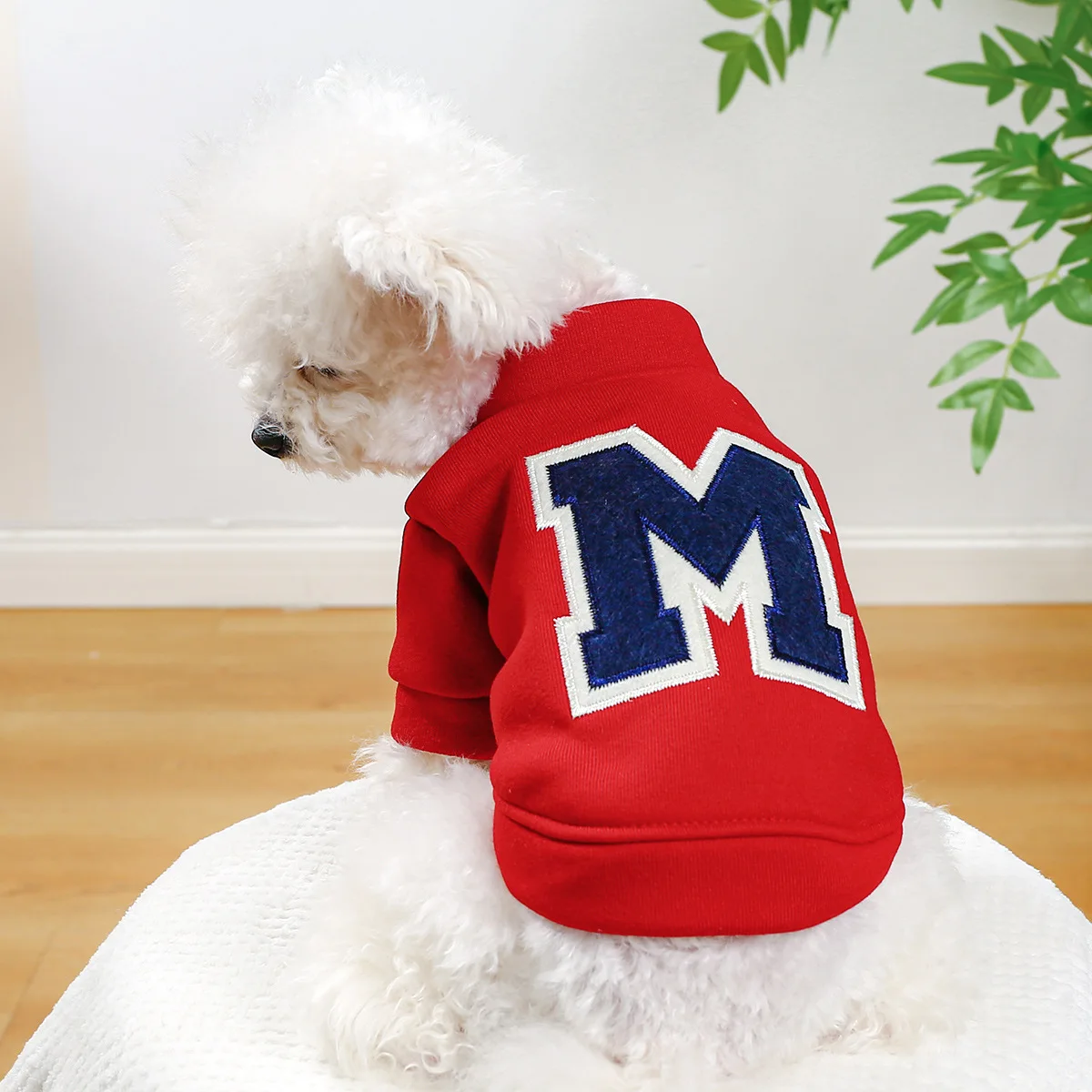 

Clothes for Small Dogs Teddy than Bear Dog Clothes Autumn and Winter New Add Velvet Warm Warm Letter R Hoodie