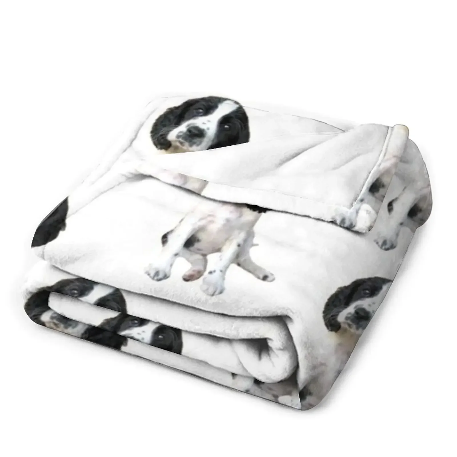 ������Ŀ ���дϾ� ���ο� ���, ����� �ʴ��� ���ο� ����,  ���