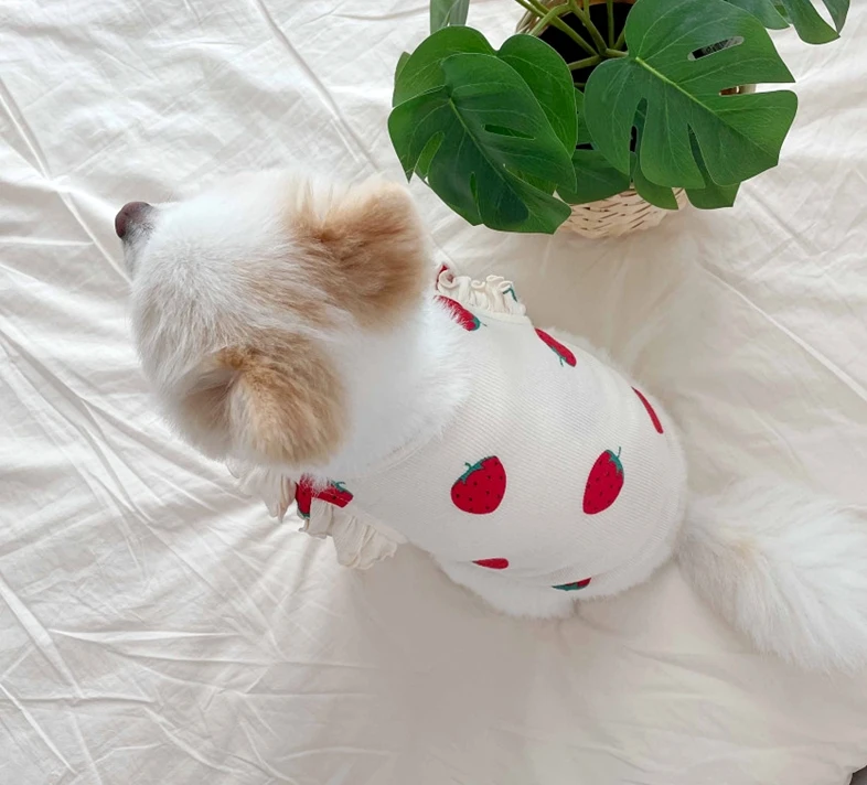 S445df26bb1484fffaf6b06e23f480011j