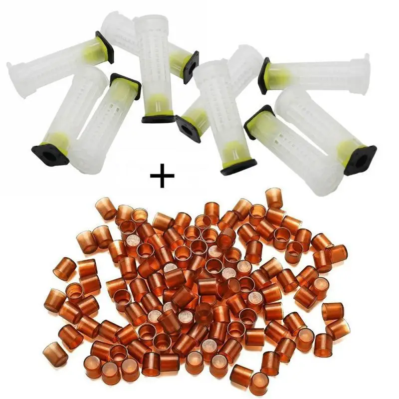 1set bee queen rearing king new plastic cells cages room cups cell cage cup bees tools beekeepers Kit