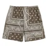 Men's Boho Drawstring Waist Shorts Paisley Print Summer Beach Shorts Fashion Shorts Men Plus Size Workout Gym Short Pants 5
