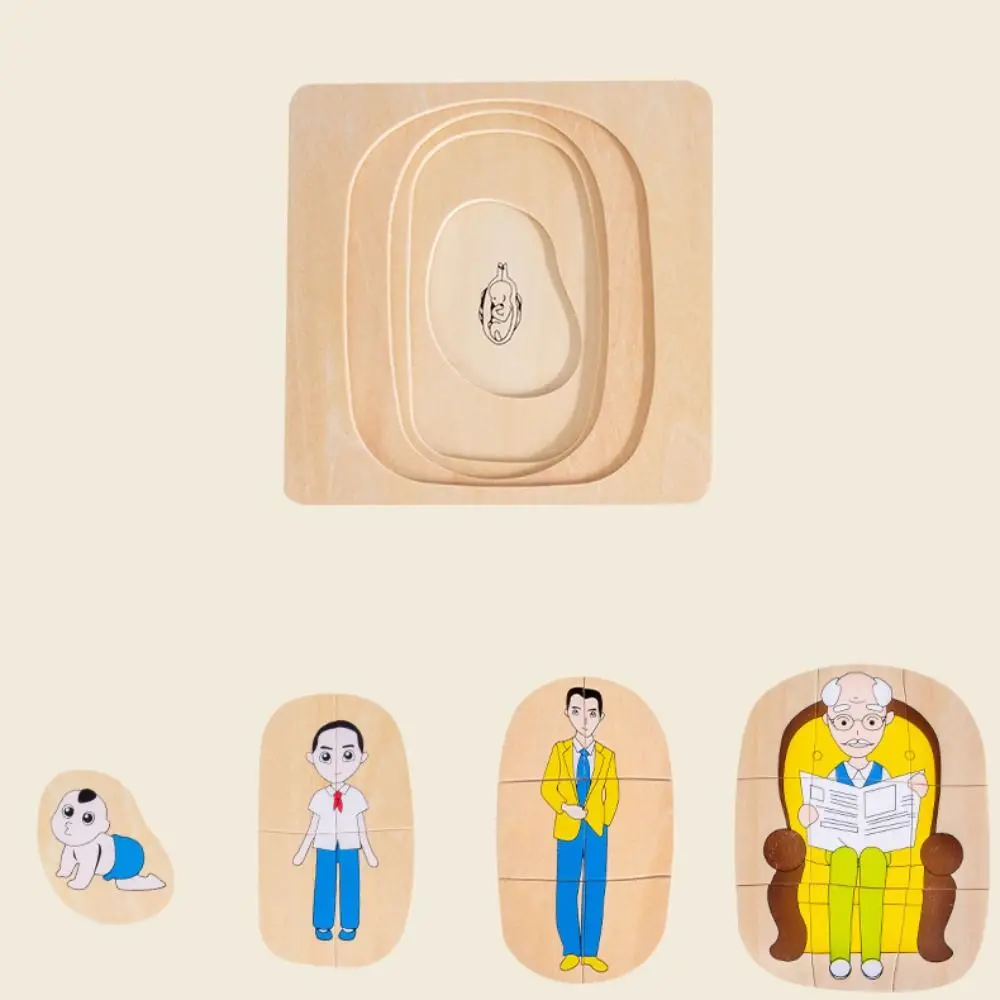 Matching Toys Life Cycle 3D Puzzle Cognitive Animal Plant Life Multi-Layer Jigsaw Interactive Challenges