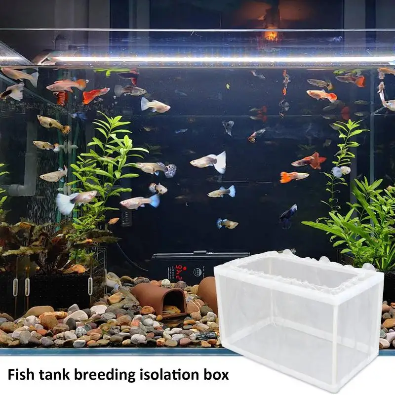 Fish Breeder Box Aquarium Hatcher Incubator Mesh Box Juvenile Fish Separation Net with Suction Cups Tank Incubator fish breeding box