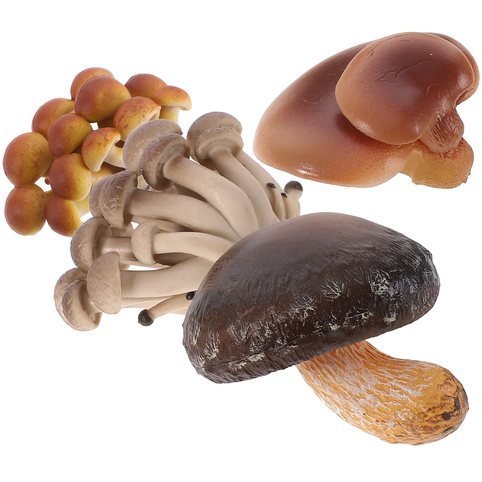 

4 Pcs Simulated Growth Cycle Fungus Set Children's Early Education Science and Toy Model Funny Mushroom Toys Miniature