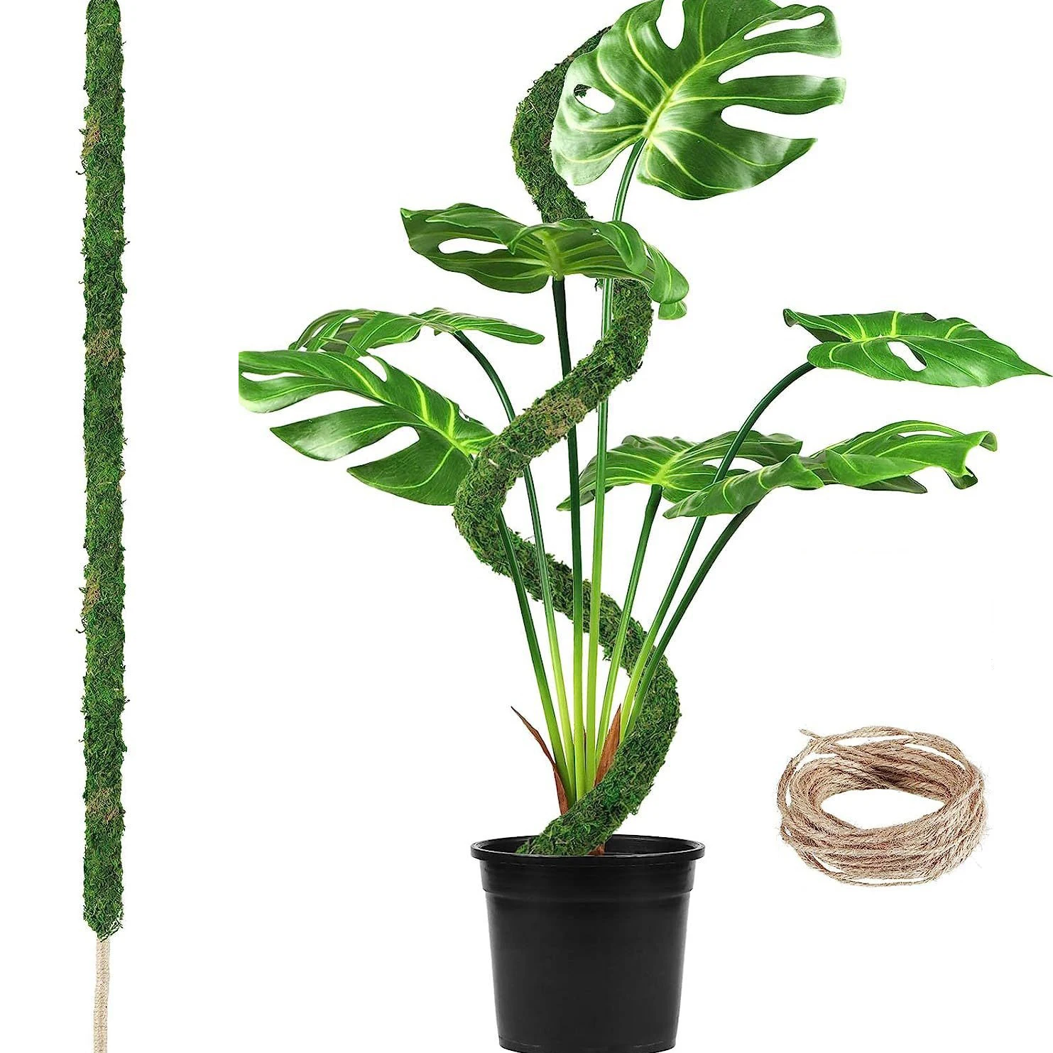 Bendable Moss Pole for Climbing Plants