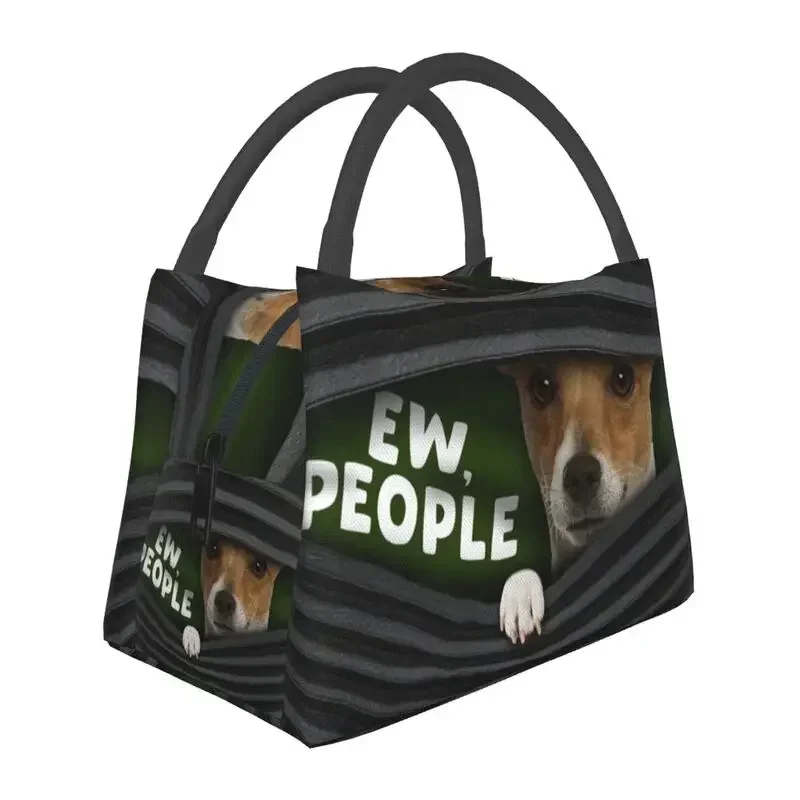 

Funny Jack Russell Dog Insulated Lunch Bags for Women Portable Cooler Thermal Bento Box Work Travel