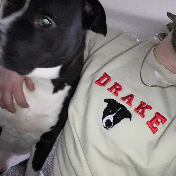 S44738a2c716146799c520db9a5c360da4