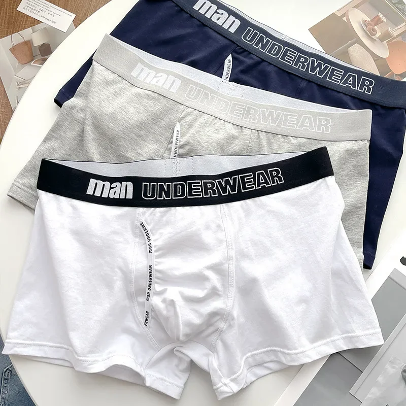 4XL Mens Underwear Pure Cotton Boxer Shorts Comfortable Breathable  Underpants Male Panties Boxershorts Men Plus Size Briefs - AliExpress