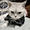 Christmas Pet Cat Costume Clothes for Cats Winter Kedi Katten Sphynx Sweatshirt Hoodie Suit Mascotas Clothing Ropa Para Gato 4