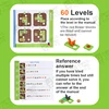 Children Educational Toy Squirrels Push Nuts IQ Puzzle Board Games Montessori Concentration Learning Logical Thinking Training 3