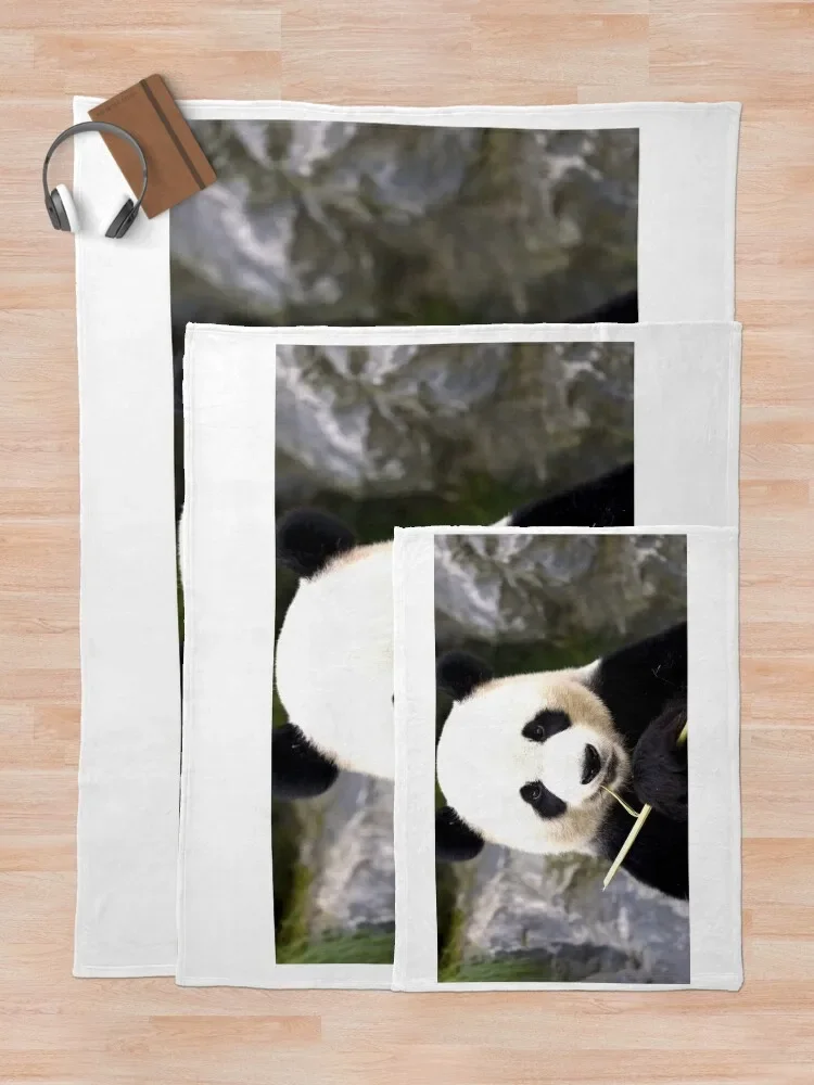 �� �Ҵ� ������ ���, �ܿ� ũ�������� ���, ǫ���� ���