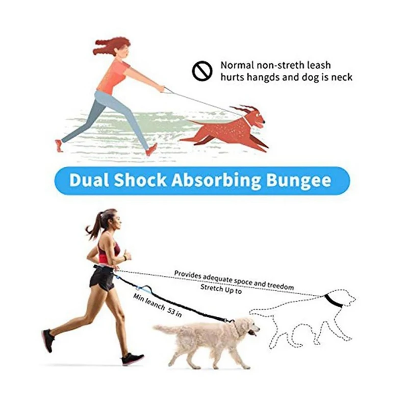 Title 2, Dog Running Leash with Zipper Pouch, Elastic Bu...