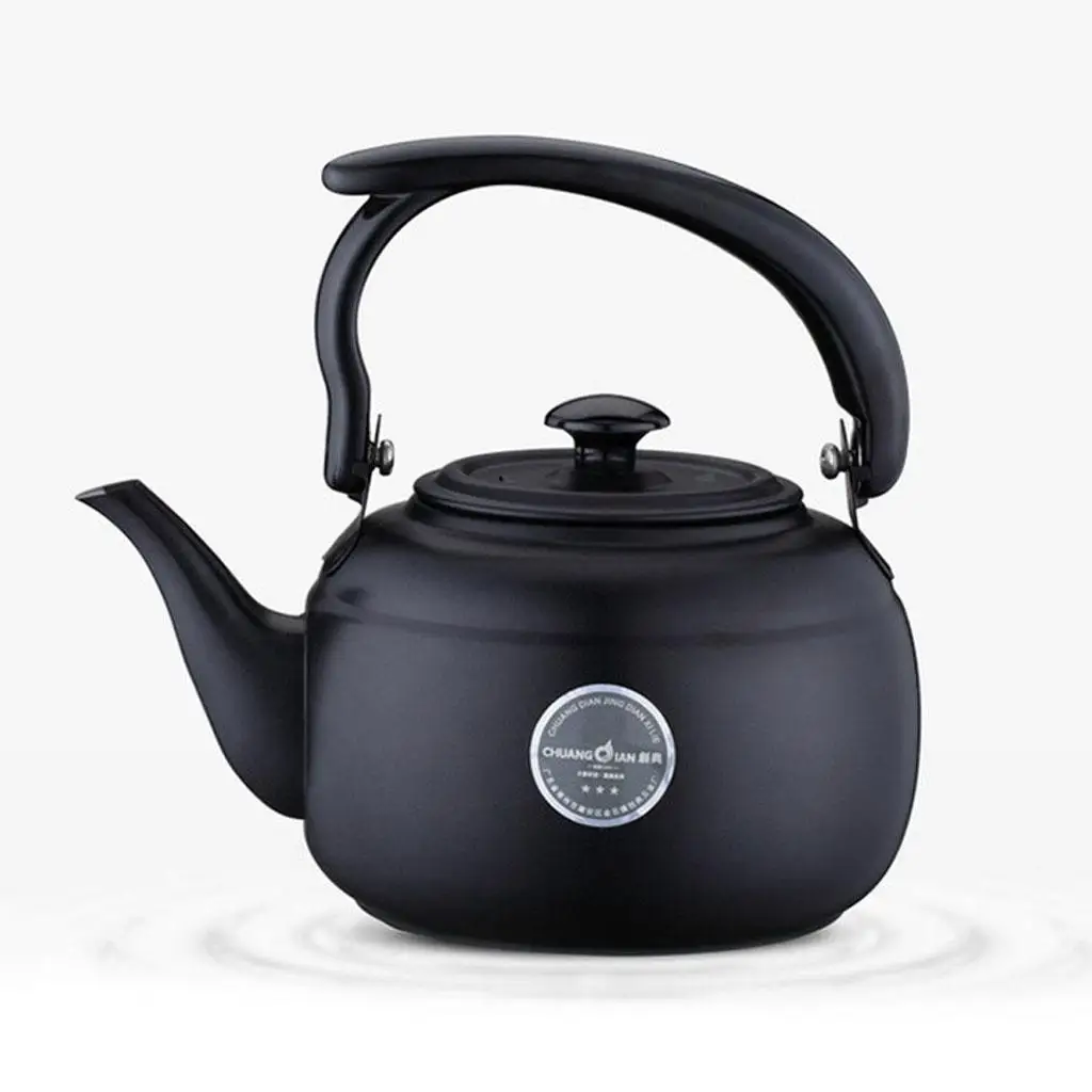 Stainless Steel Teapot Teakettle Tea Kettle Kitchen Hotel 1000ml