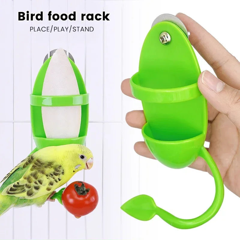 Bird Cuttlebone Holder and Feeder 3