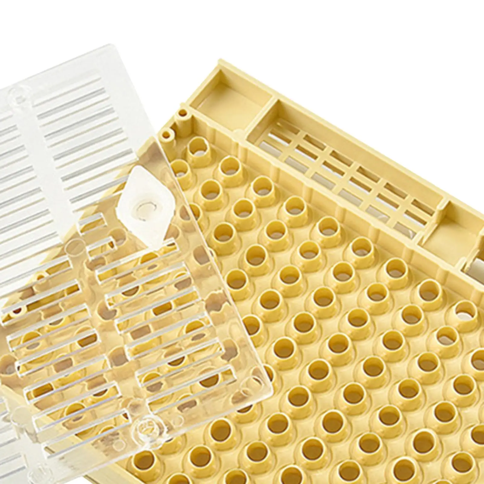 Beekeeping Rearing Box Apiculture Breeding Box Safe Beekeeping Queen Bee Rearing Grafting Set Beehive Bee for Beekeepers