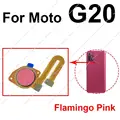 G20 Pink