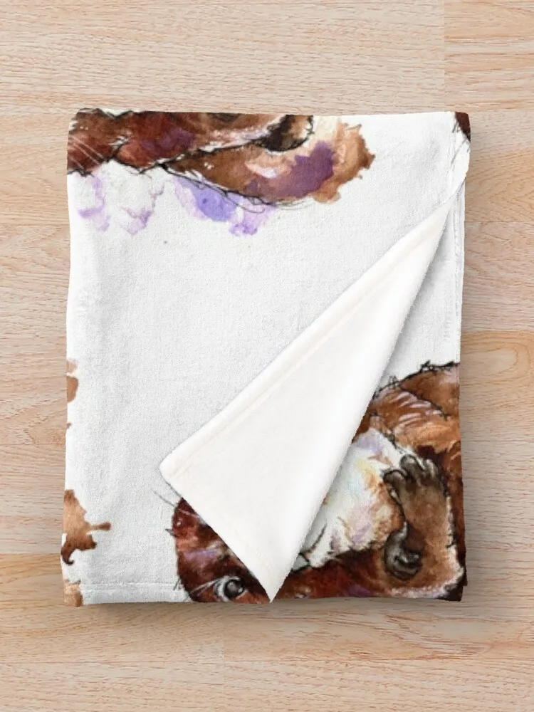 ���� ��äȭ ������ ���, ķ�� ���� ���