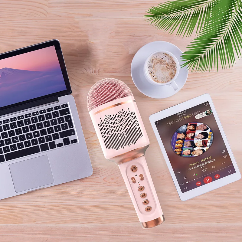 Рисунок 4 - Портативный Bluetooth микрофон для караоке