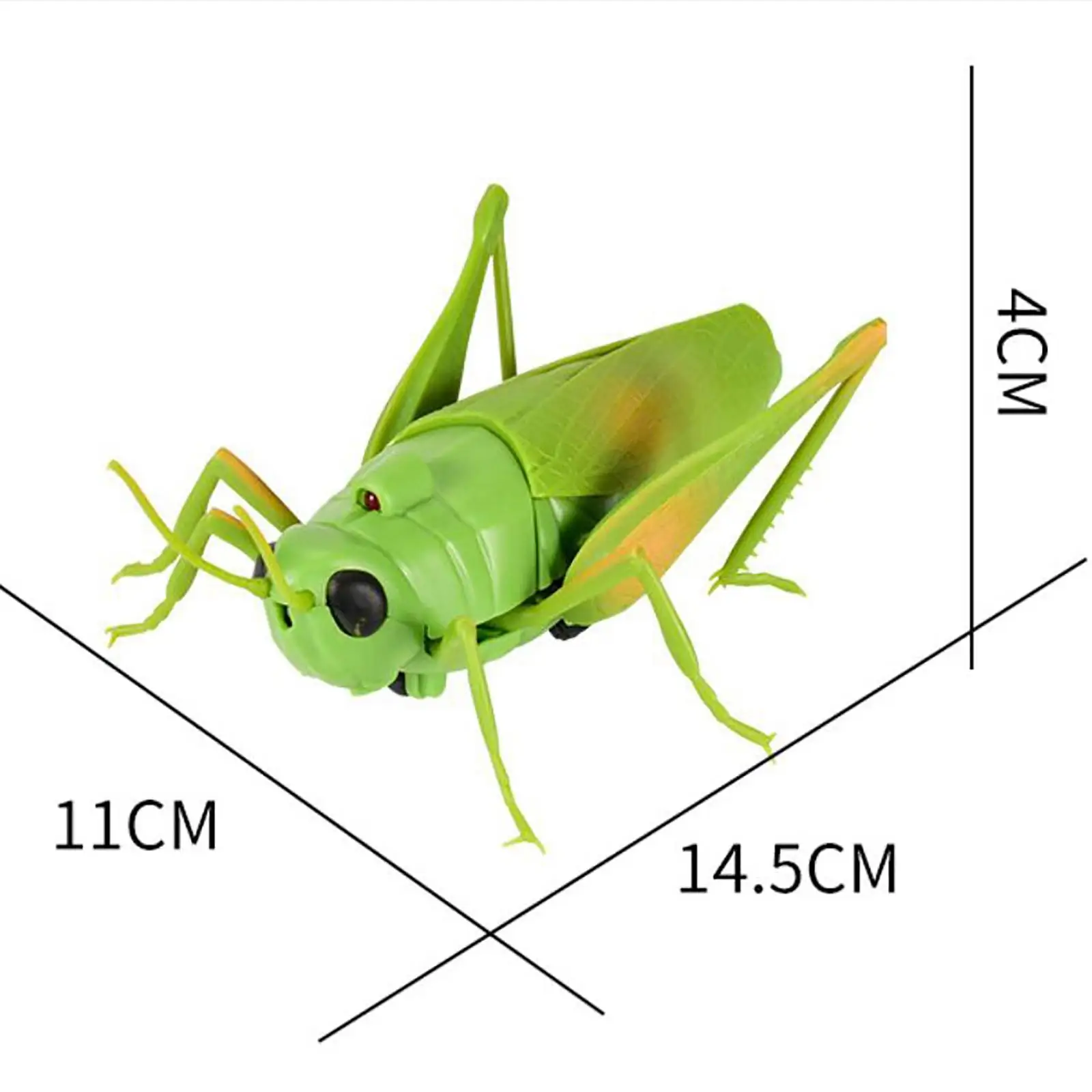 Simulation RC Grasshopper Toy Grasshopper Model Party Supplies Animal Toy for Children Adults Gifts 6