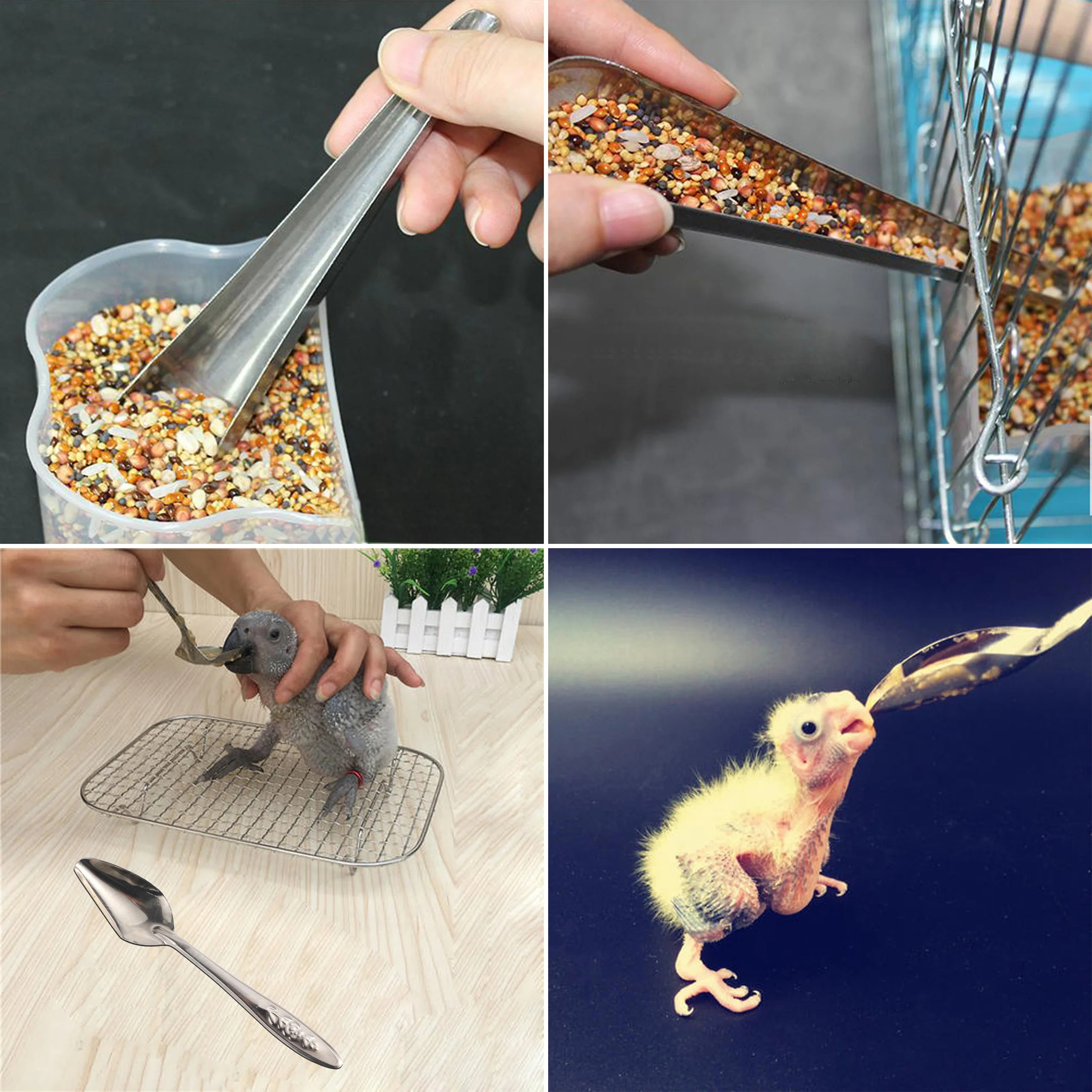 Bird Feeder Bird Feeding Spoon Pet Parrot Cage Add Food Stainless Steel Supplies