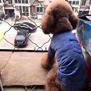 Pet sling