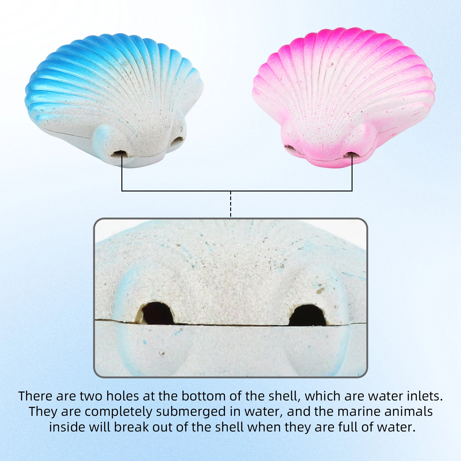 Water swelling toy shell marine animal series small size water hatching scallop color random 4