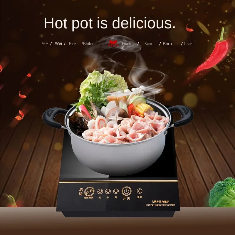 Induction Cooker Mini Electric Magnetic Wire Control Embedded Hotpot Hob 800W Waterproof Boiler