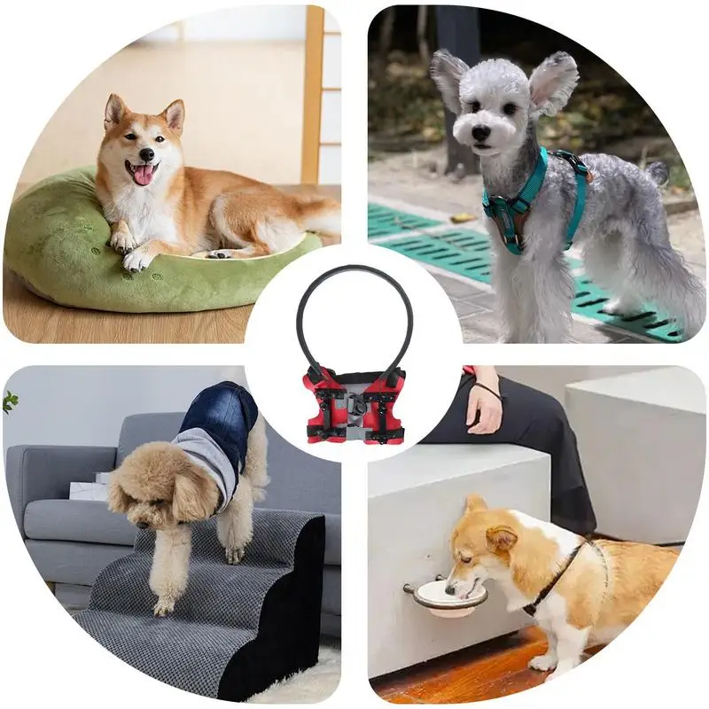 halo blind dog bumper harness