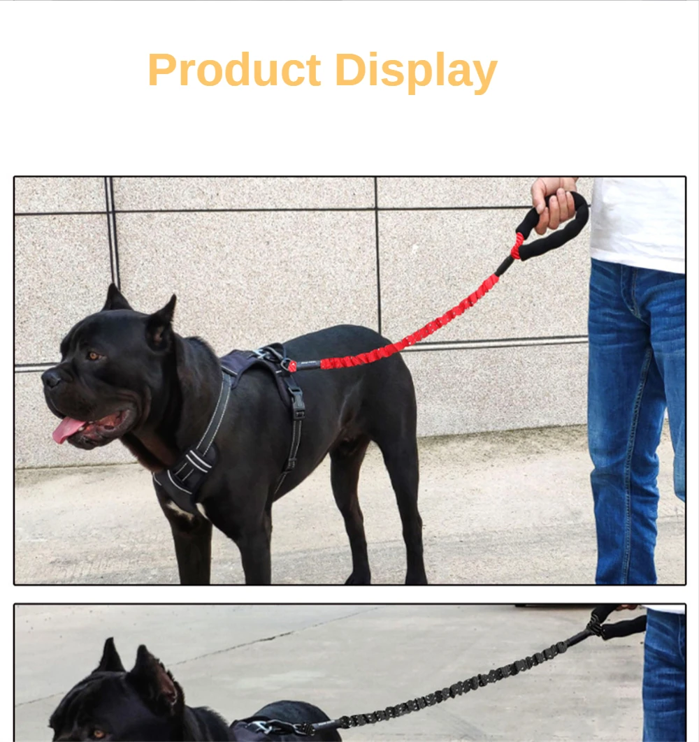 Large Dog Leash Elasticity Bungee Dog Training Leash with Soft Handle Pet Dog Running Walking Nylon Lead Rope Dog Supplies