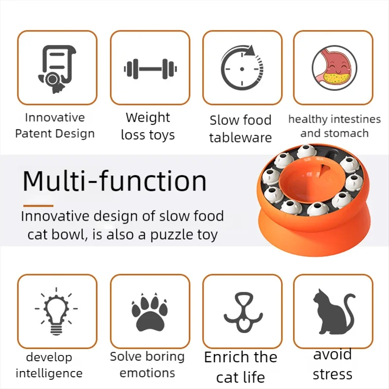 IQ Bowl - Image 2