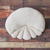 5pcs Newborn Photography Accessories Pillows Assisst Props Studio Basket Filler Baby Posing Nest Pad Photo Shooting Mattress 5
