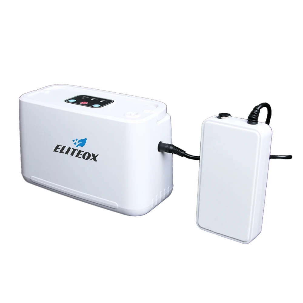 3L Portable Oxygen Concentrat With Battery For Outdoor Travel 32.5% Purity Impulsive Car Oxygen Generator Concentr Machine