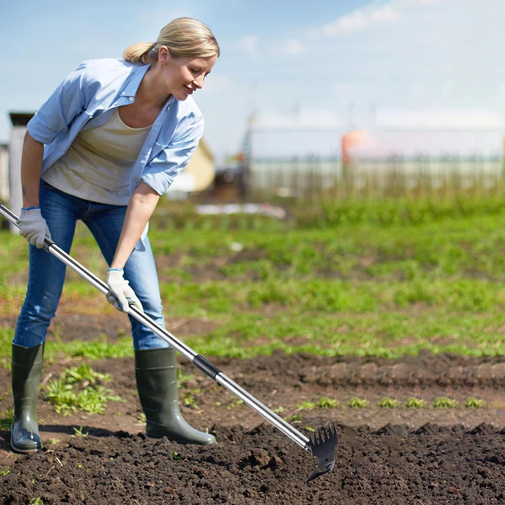 Garden Hoe