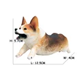 Running Corgi
