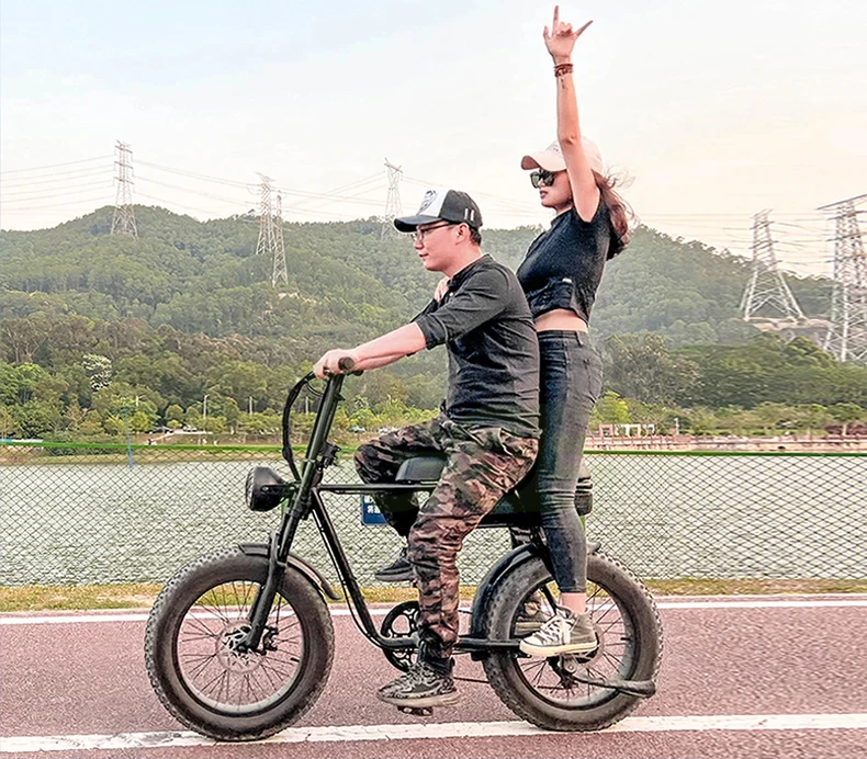 Deren 7Go EB4 EB2 Lithium Battery Electric City Bike Long Seat Adult Electric Bicycle 48V 18.2ah 250W 500w 750w Fat Tire E-bik