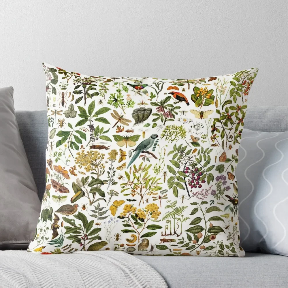 

New Zealand Biology Throw Pillow Christmas Covers For Cushions Decorative Cover For Living Room