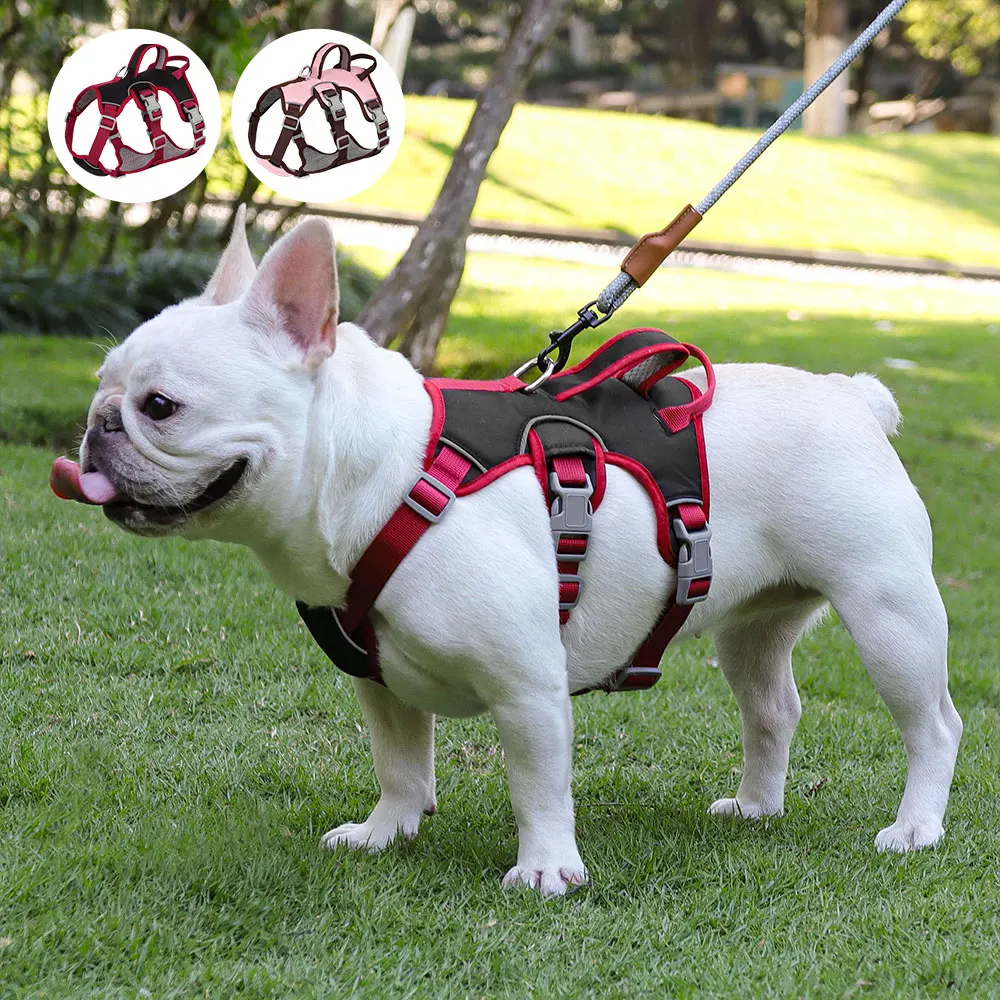 Pull Harness French Bulldog  French Bulldog Leather Harness - Reflective  Mesh Dog - Aliexpress